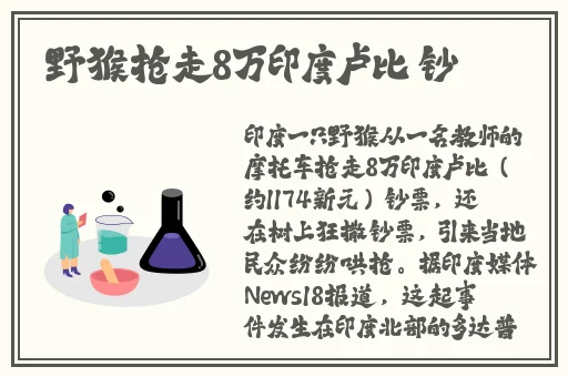 啦啦啦高清影视在线8